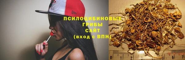 марихуана Снежногорск
